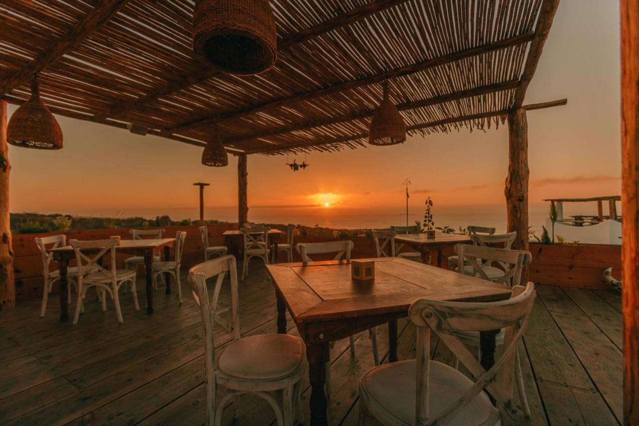 Hotel Nest Baja San José del Cabo Exterior foto